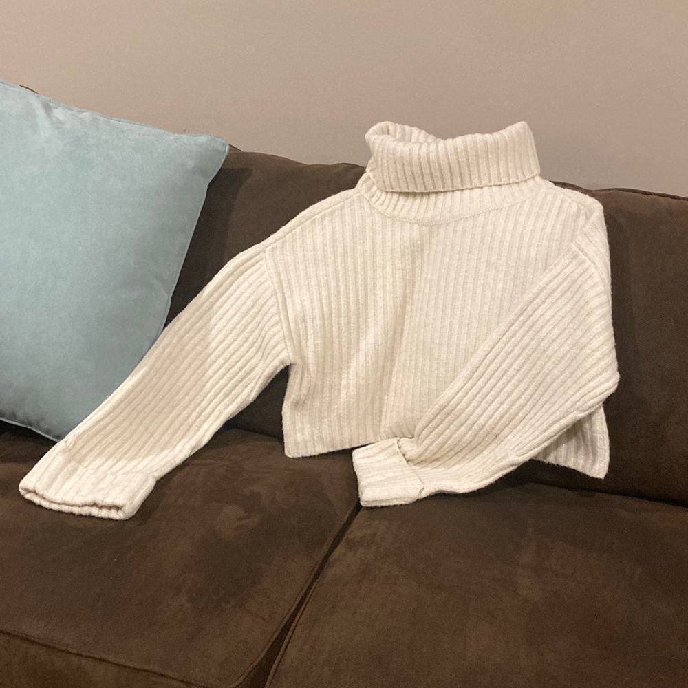 Dynamite turtle neck sweater
